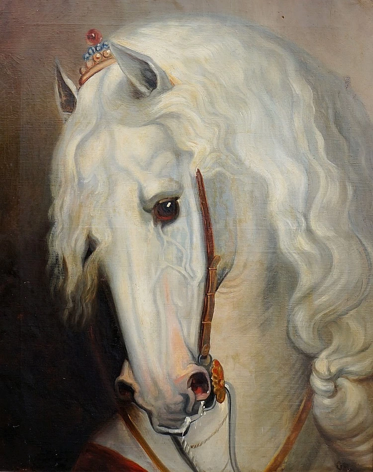Balthasar Ommeganck - Stallone lipizzano